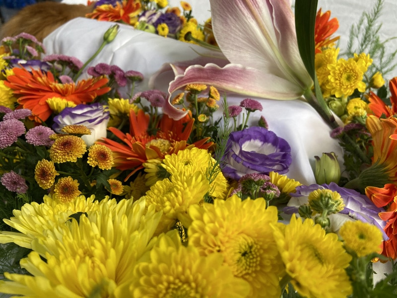 goi dich vu lam hoa tang thu cung dac biet