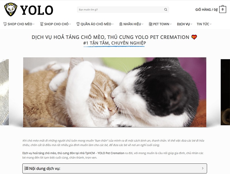 hinh anh dich vu hoa tang cho meo yolo