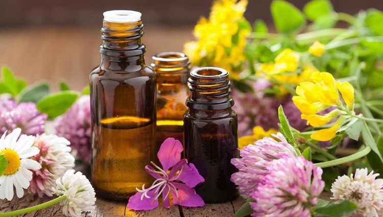 thu mua tinh dau so luong lon